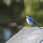 Oda ve Kahvaltı Pod Dobrym Aniolem