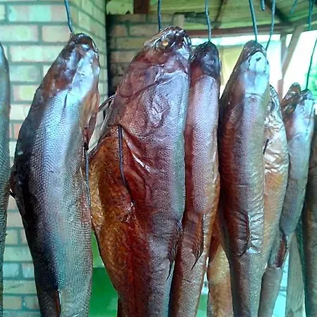 Pod Dobrym Aniolem 4*