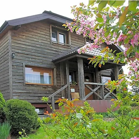 Pod Dobrym Aniolem 4* Krzywonoga