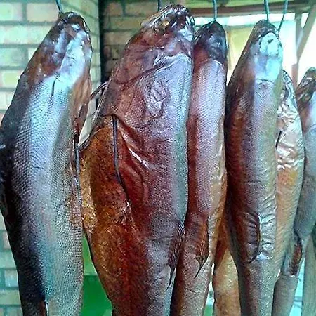 Pod Dobrym Aniolem Krzywonoga