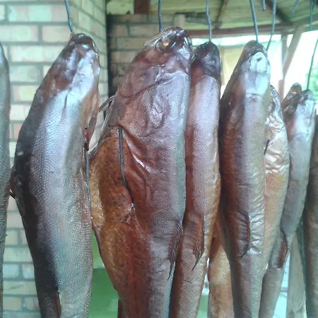 Pod Dobrym Aniolem * Krzywonoga