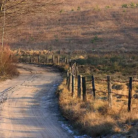 Oda ve Kahvaltı Pod Dobrym Aniolem 4*
