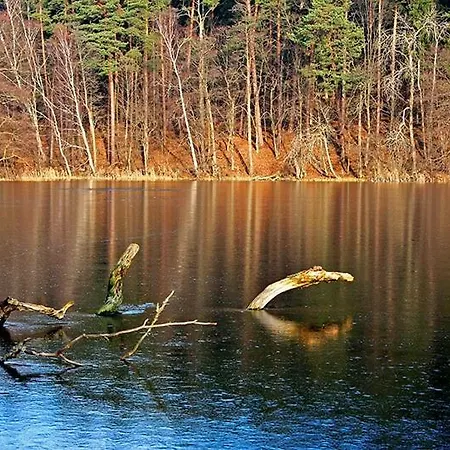 Bed & Breakfast Pod Dobrym Aniolem