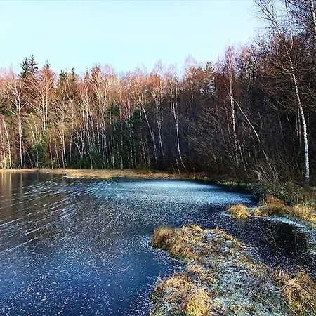 Pod Dobrym Aniolem 4*