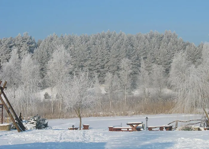 Pod Dobrym Aniolem Krzywonoga