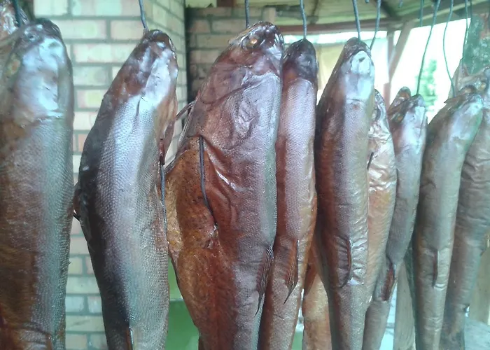 Pod Dobrym Aniolem 4* Krzywonoga