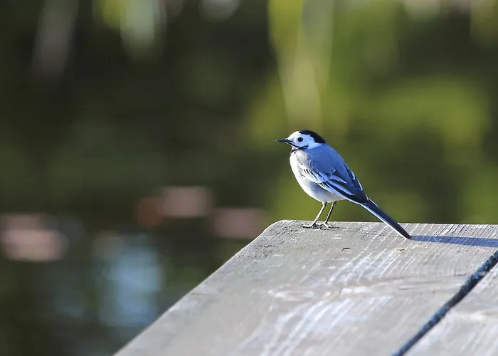 Bed & Breakfast Pod Dobrym Aniolem