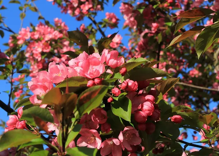 Bed & Breakfast Pod Dobrym Aniolem 4*