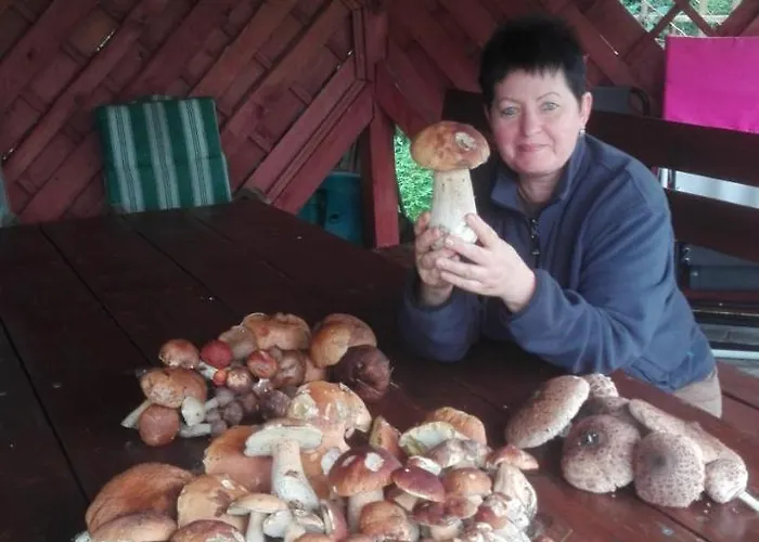 Pod Dobrym Aniolem Krzywonoga