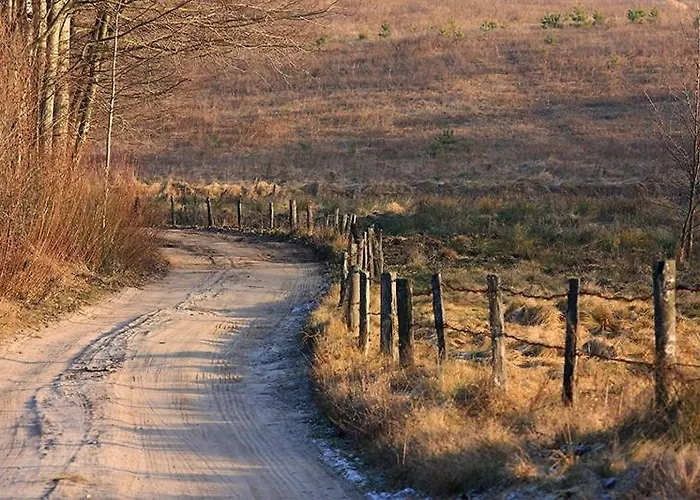 ベッド・アンド・ブレックファスト Pod Dobrym Aniolem 4*