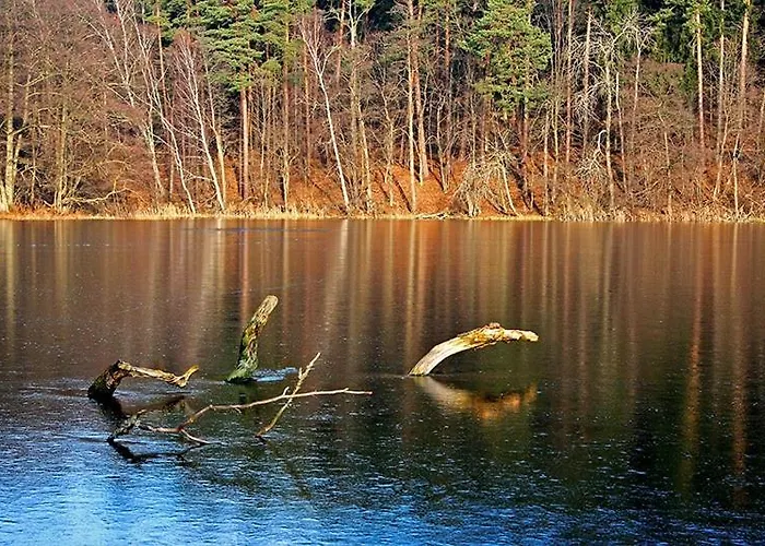 Bed & Breakfast Pod Dobrym Aniolem