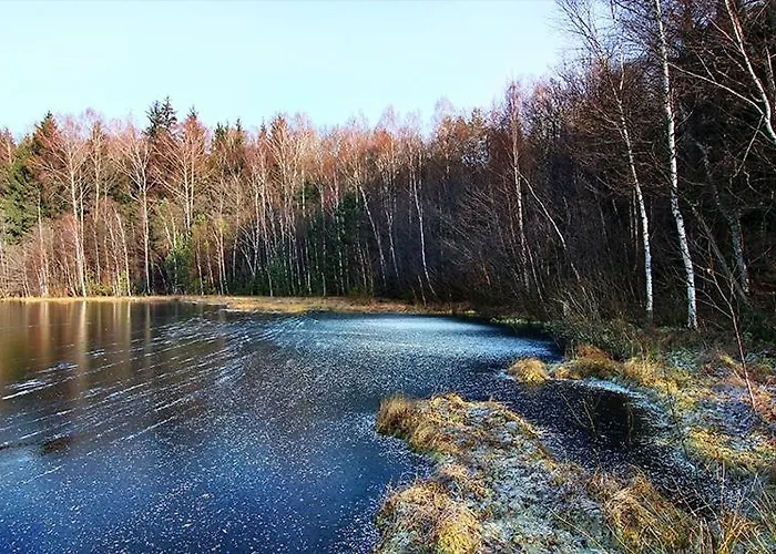 Pod Dobrym Aniolem 4*